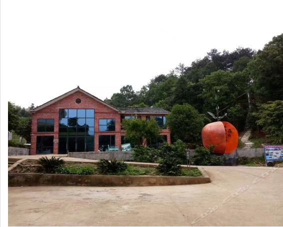 心靈之旅品牌系列醉美養(yǎng)生行東江湖馬爾代夫式度假3日游（入住1晚精品酒店+1晚島上農家住宿+特色三文魚宴+采摘水果)