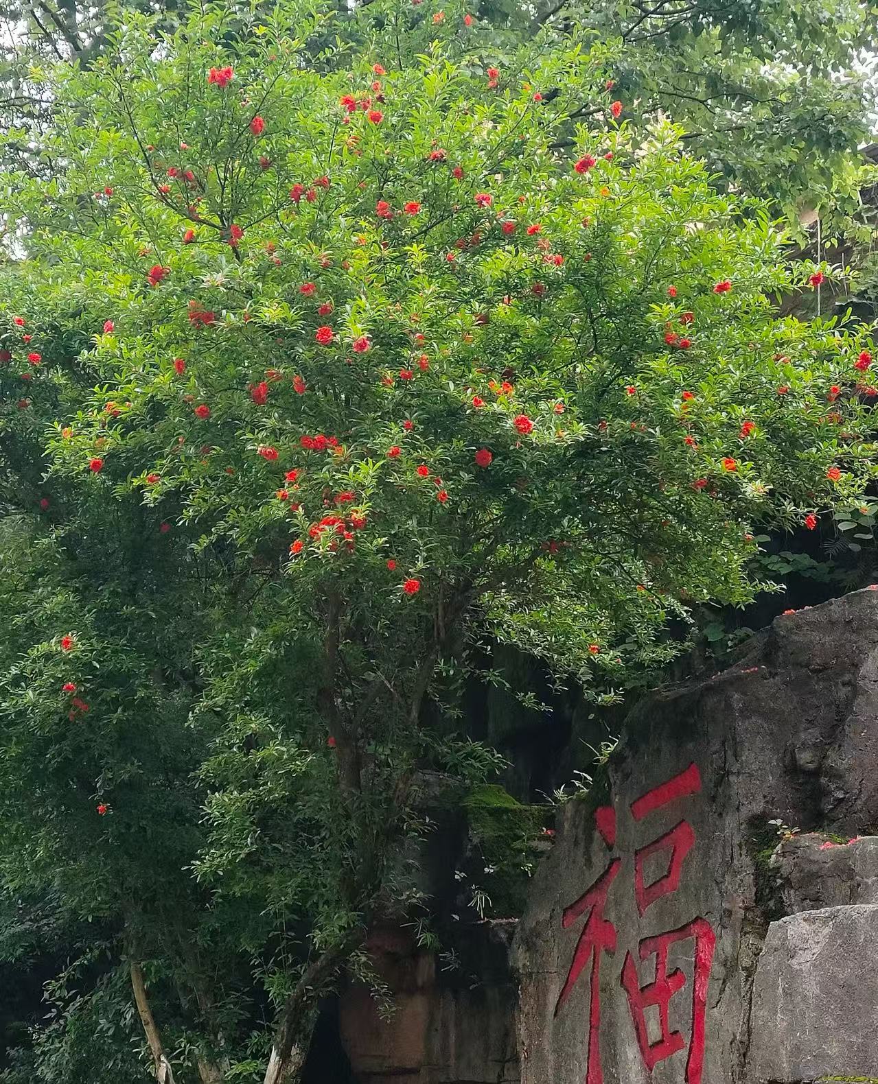 郴州旅游租車(chē)/包車(chē)23座