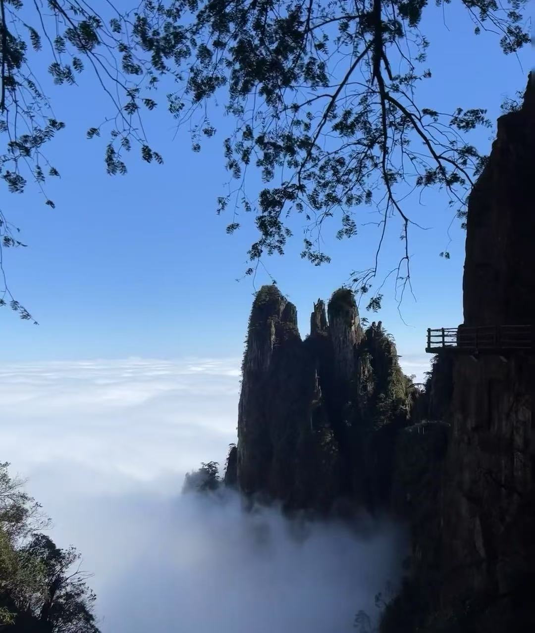 郴州七座租車(chē)